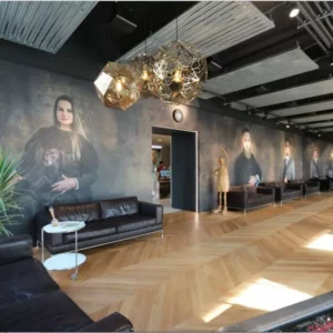 Salle avec canapés et portraits muraux modernes.