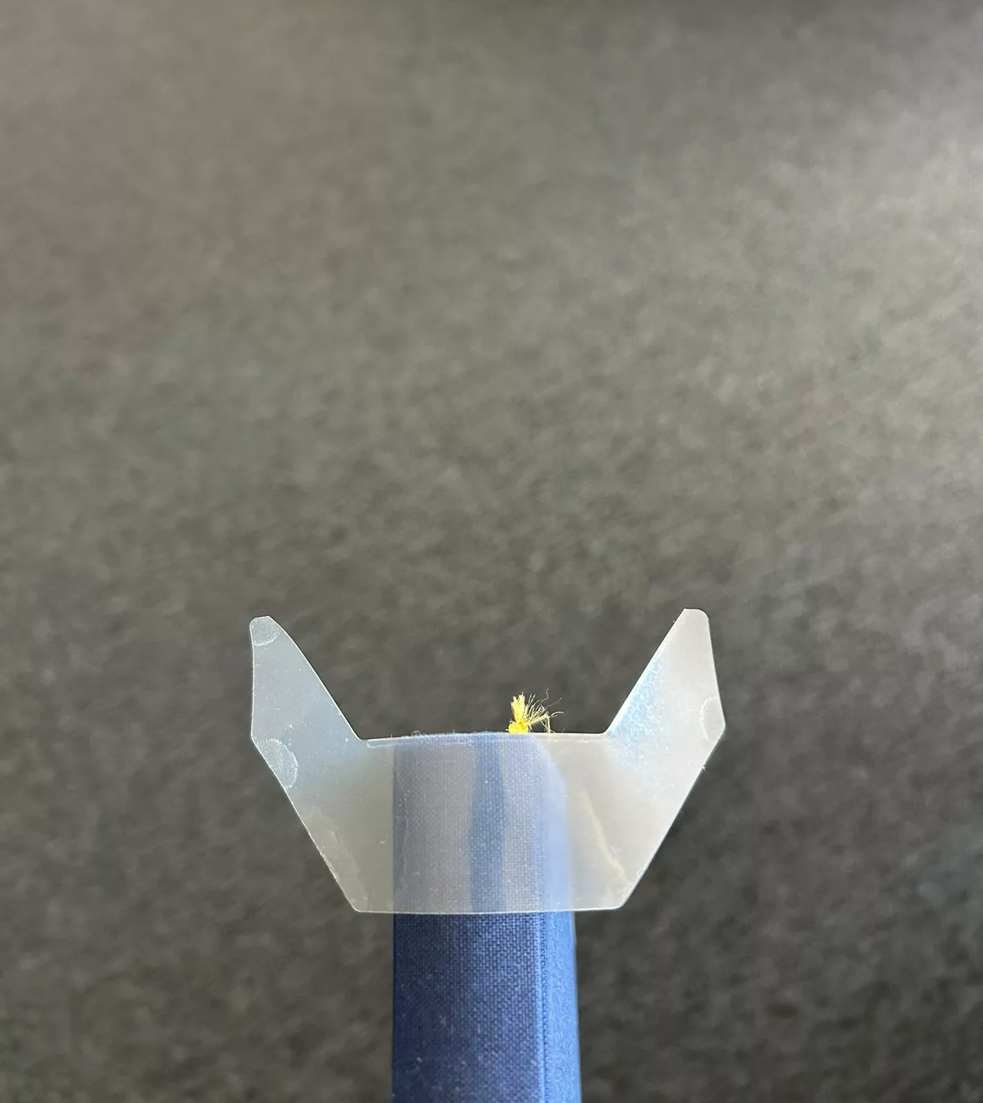 Petit insecte jaune sur support en plastique